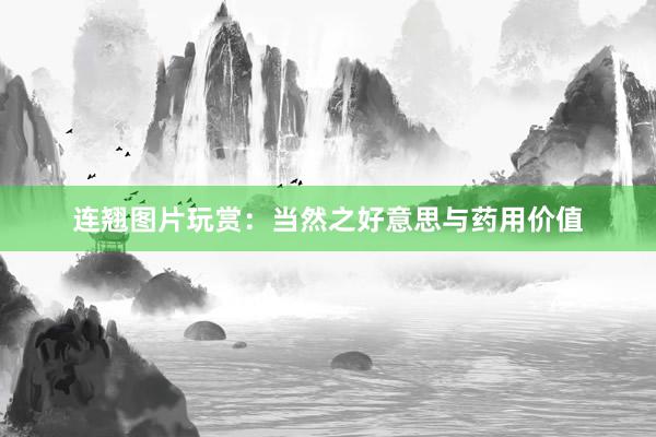 连翘图片玩赏：当然之好意思与药用价值